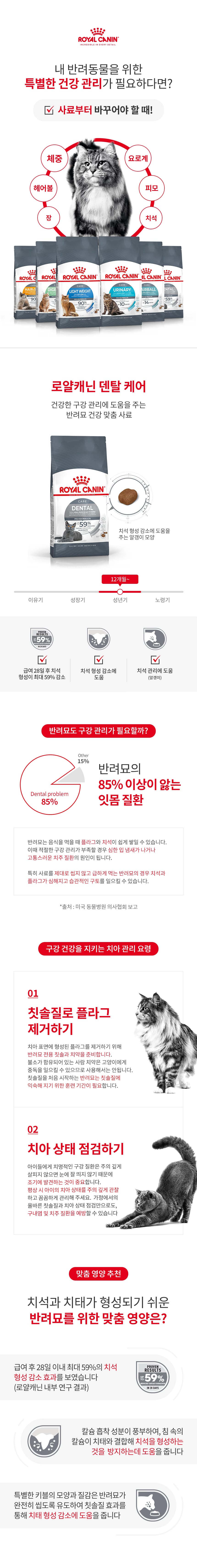 로얄캐닌 캣 덴탈케어 400g RT09 상세 이미지 1