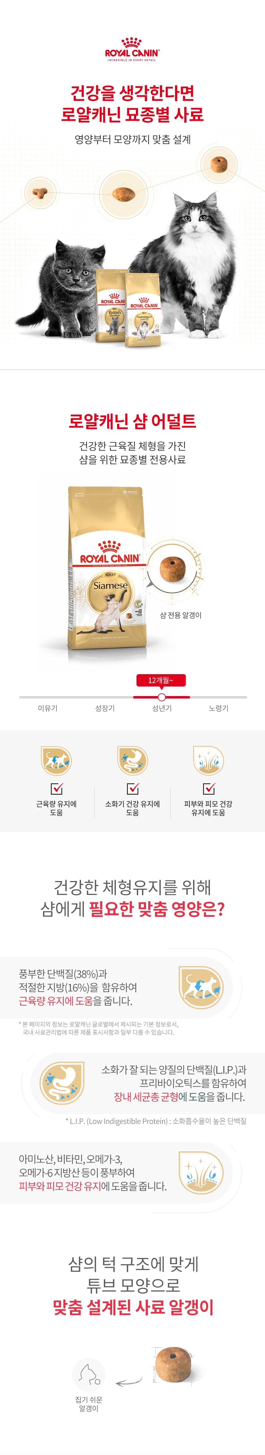 로얄캐닌 캣 샴 어덜트 2kg RD05 상세 이미지 1