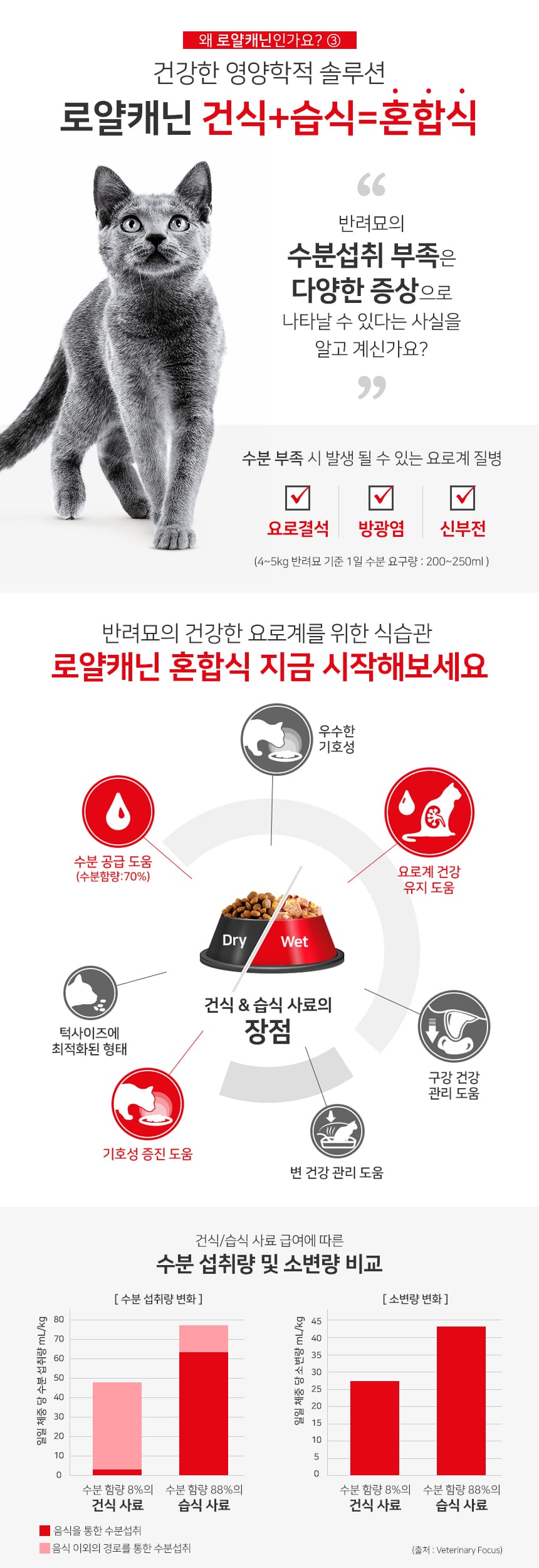 로얄캐닌 캣 페르시안 어덜트 2kg RE11 상세 이미지 1