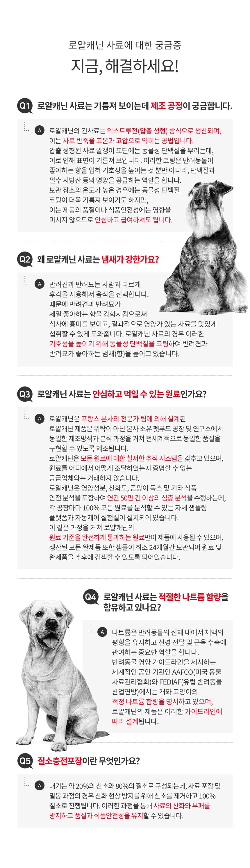 로얄캐닌 독 말티즈 어덜트 1.5kg RA08 상세 이미지 3
