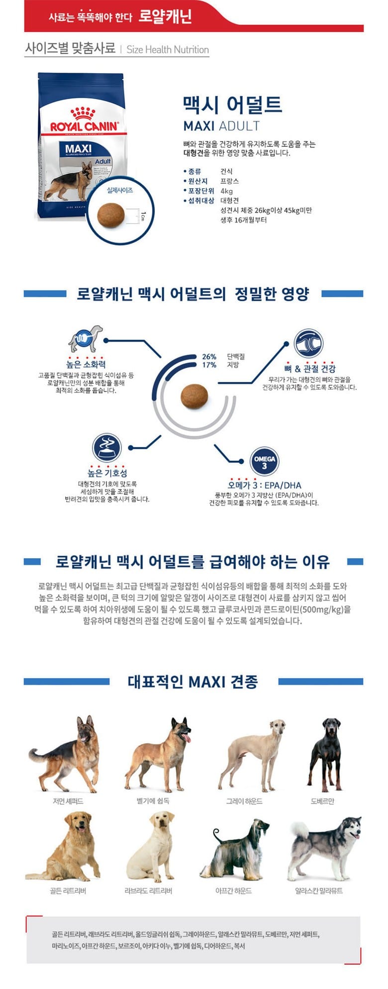 로얄캐닌 독 맥시 어덜트 10kg RG13 상세 이미지 1
