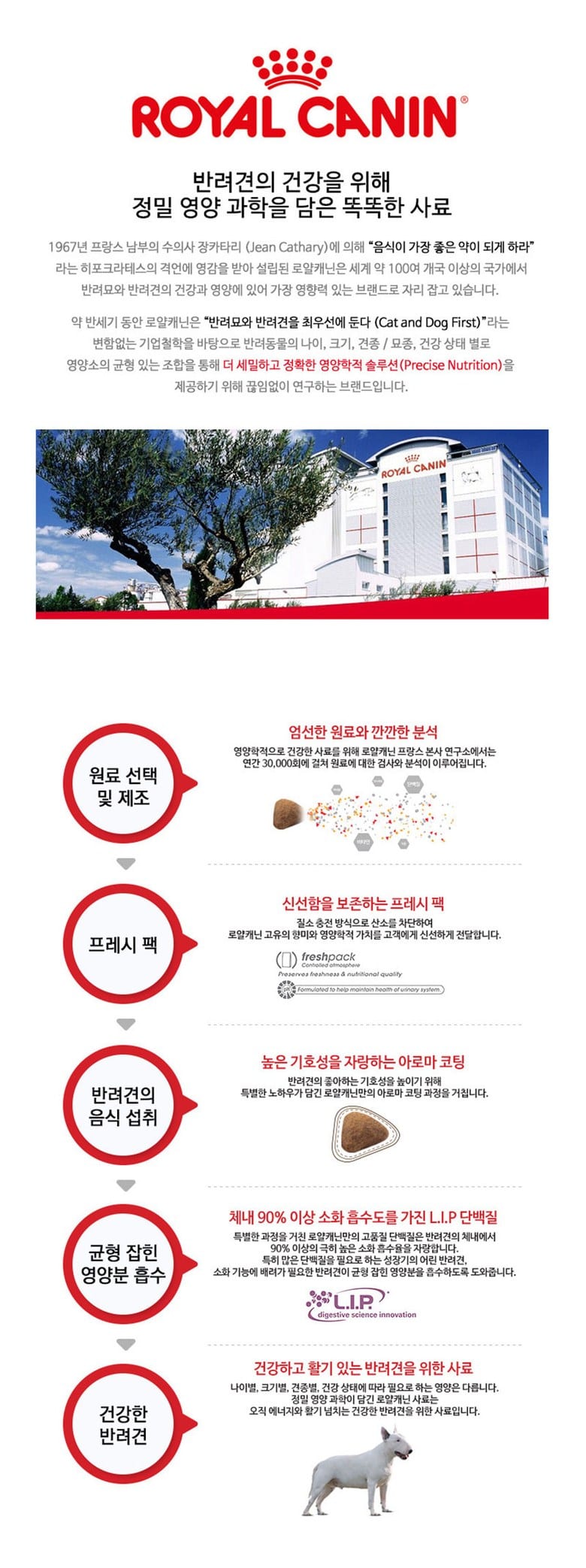 로얄캐닌 독 맥시 어덜트 10kg RG13 상세 이미지 3