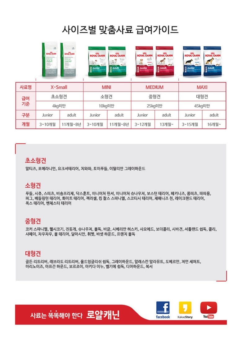 로얄캐닌 독 맥시 어덜트 10kg RG13 상세 이미지 4