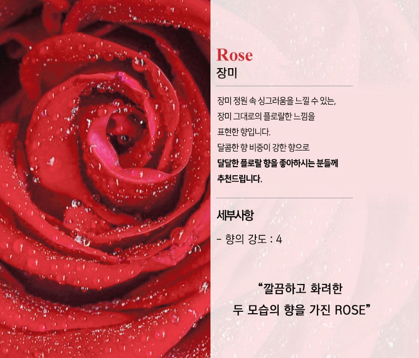 미트유 강아지 고양이 디퓨저 쌀겨 아로마오일 실내 방향제 알러지 유발 물질 제외 상세 이미지 5