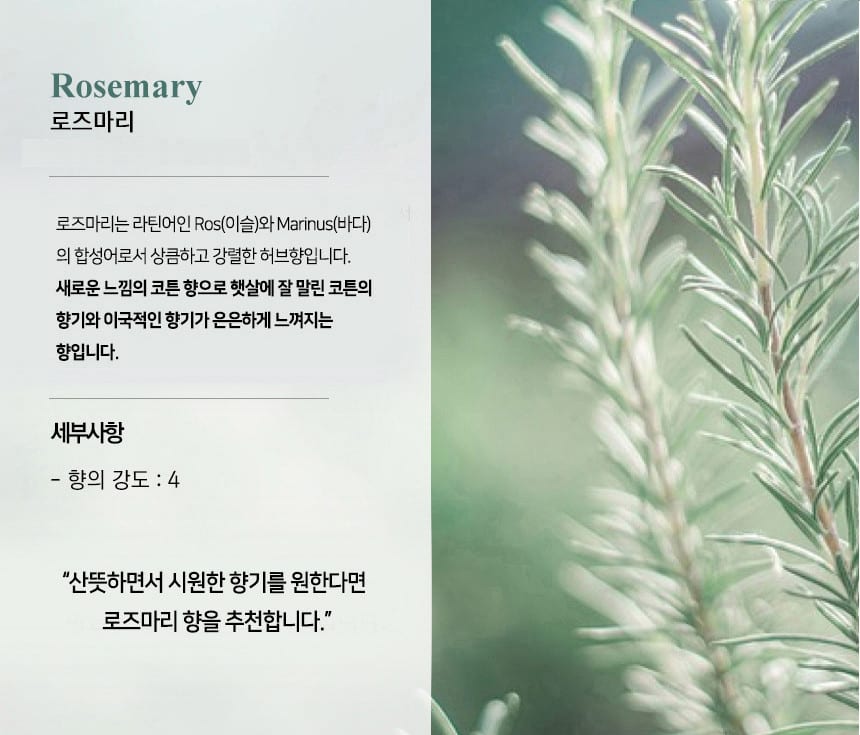 미트유 강아지 고양이 디퓨저 쌀겨 아로마오일 실내 방향제 알러지 유발 물질 제외 상세 이미지 6