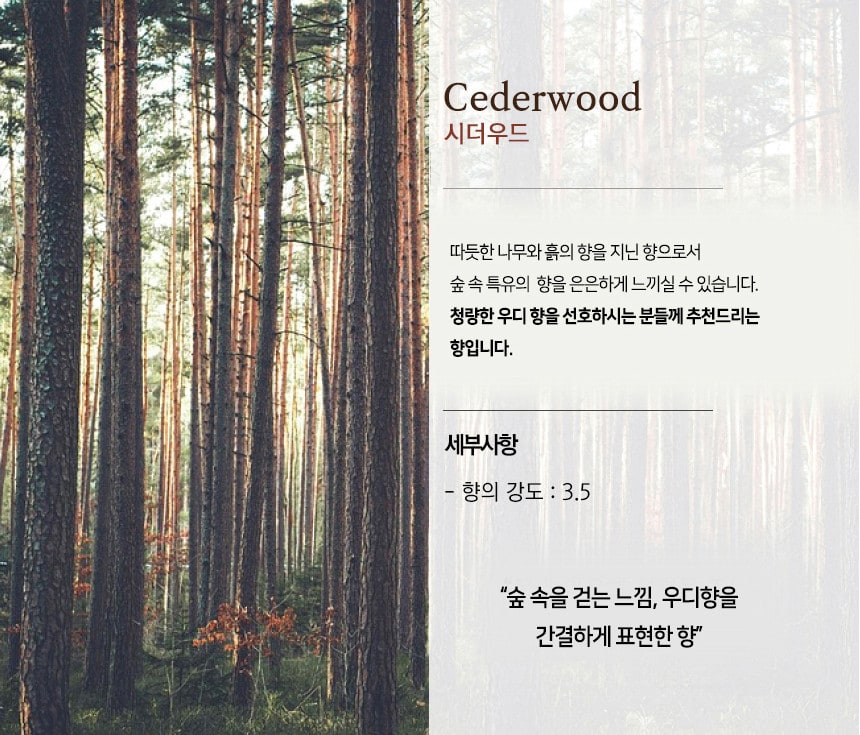 미트유 강아지 고양이 디퓨저 쌀겨 아로마오일 실내 방향제 알러지 유발 물질 제외 상세 이미지 9