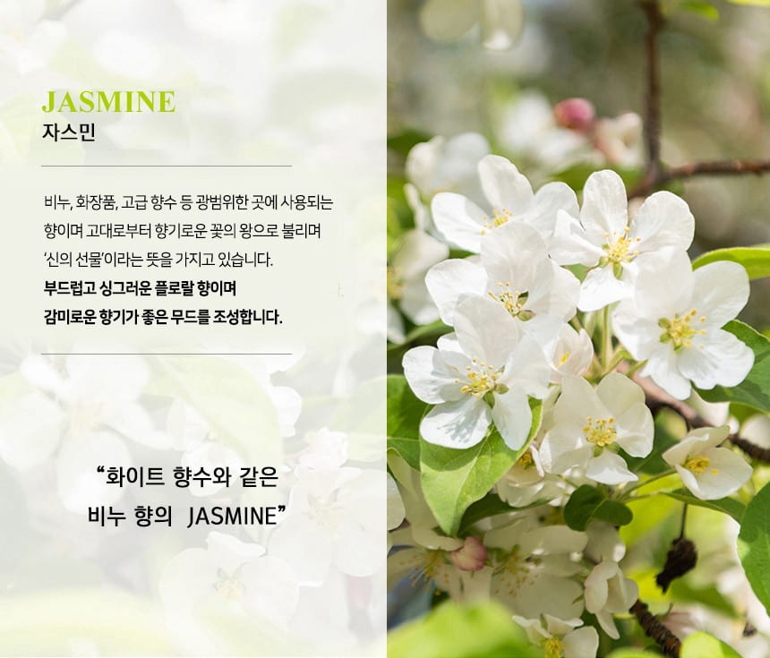 미트유 강아지 고양이 디퓨저 쌀겨 아로마오일 실내 방향제 알러지 유발 물질 제외 상세 이미지 8