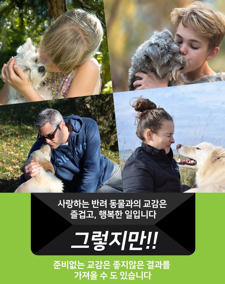 도기프랜드 덴탈크리닉 치약 80g 상세 이미지 2