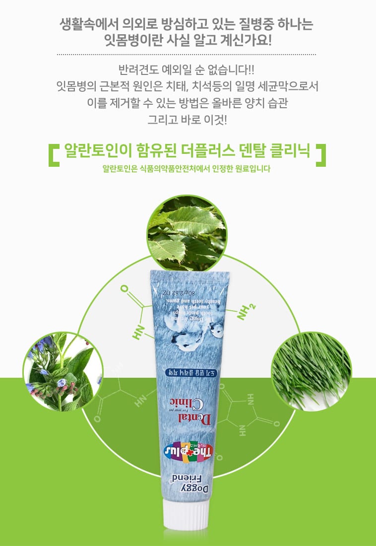 도기프랜드 덴탈크리닉 치약 80g 상세 이미지 3