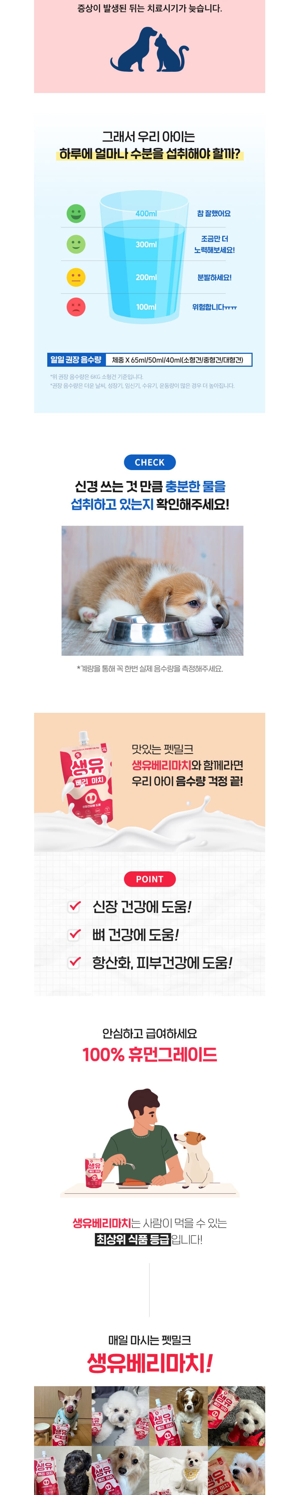 마이베프 생유베리마치 강아지 우유 펫밀크200ml 상세 이미지 2