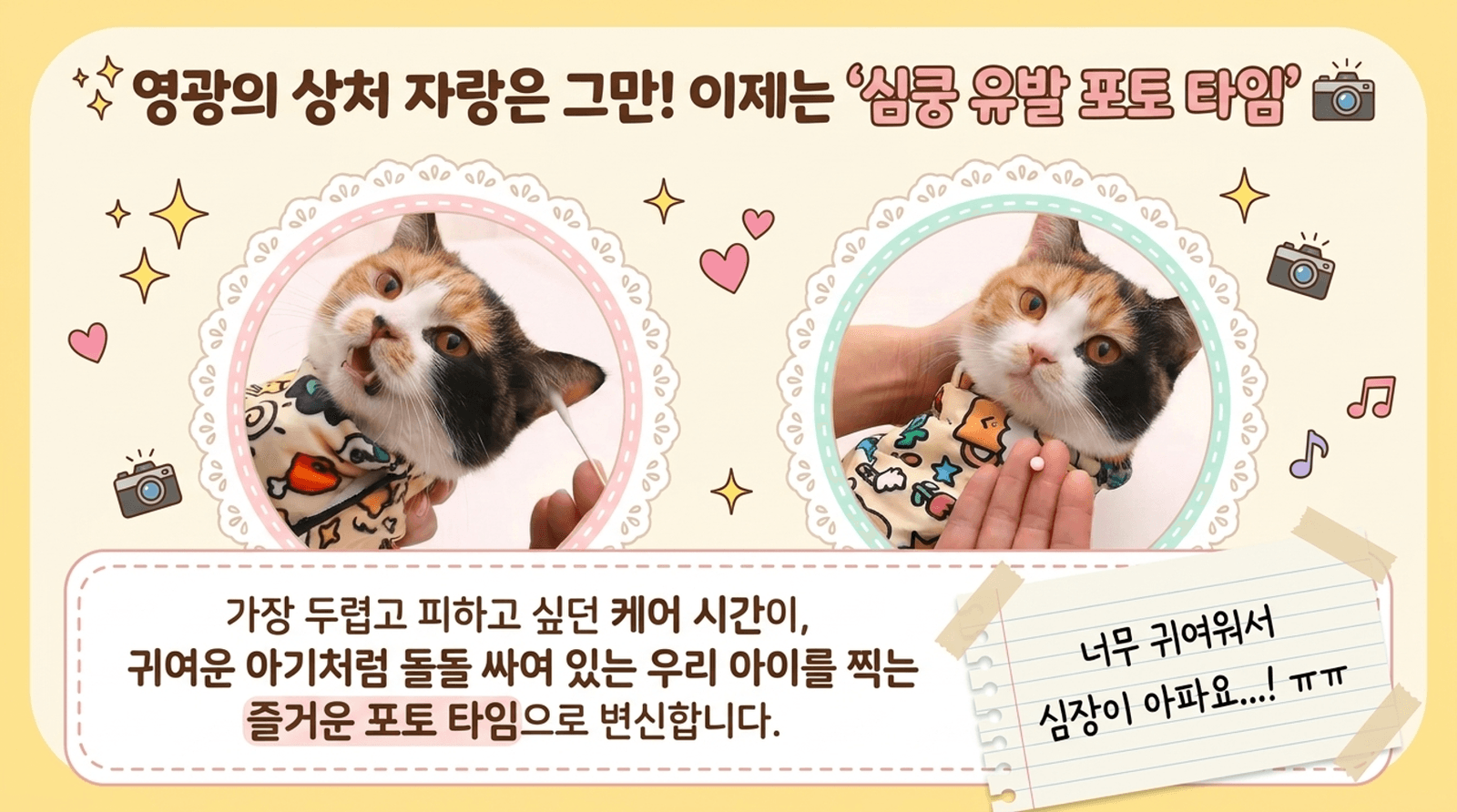고양이 마법 포대기 할큄 방지, 약먹이기 (그루밍랩) 강아지 공용 상세 이미지 8