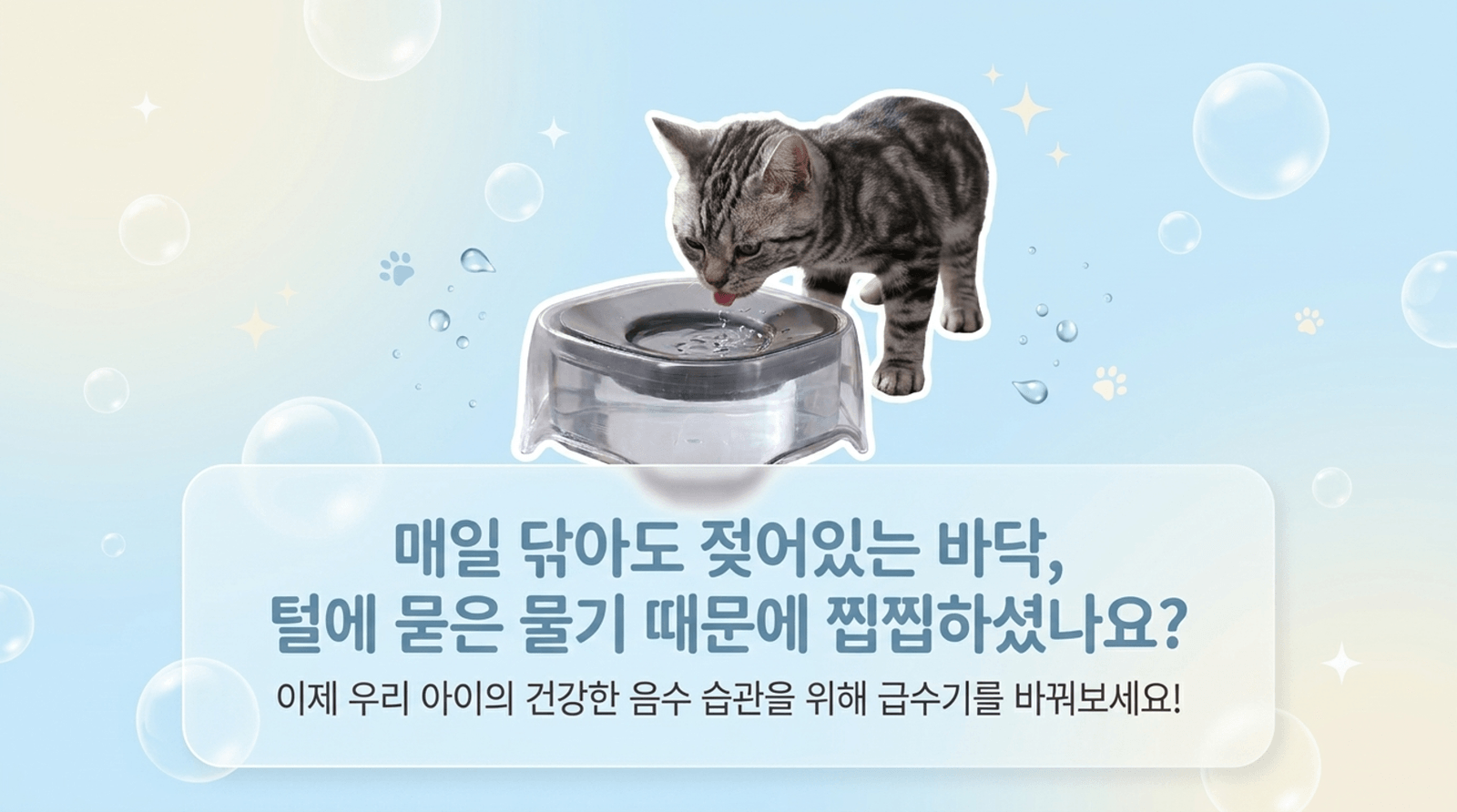플로팅 투명 급수기 (강아지 / 고양이 겸용) 2리터 대용량 상세 이미지 1