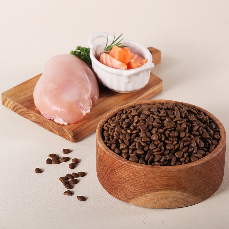 ★유통기한 임박 할인★[더주오사료] 어덜트 유기농 성견용 사료 1kg (26년 12월 18일까지) 썸네일 3