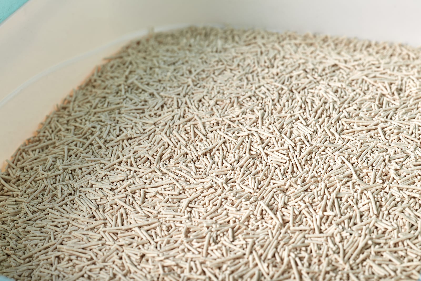 [더주오] 응가해주오 두부모래 밀크향 2.5kg 썸네일 6