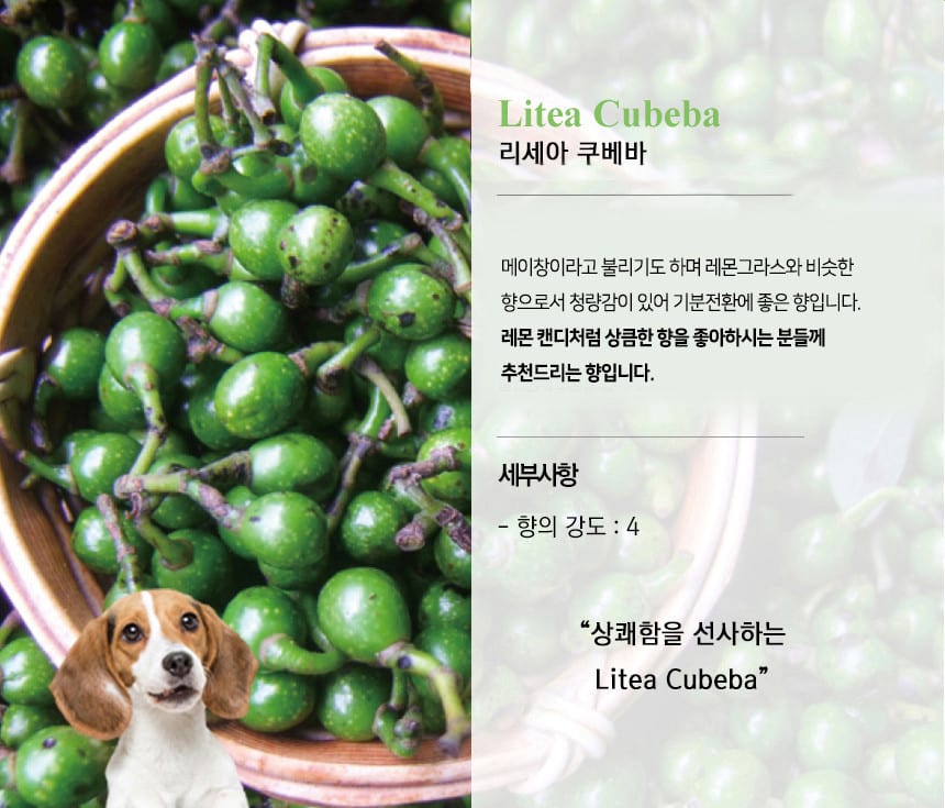 미트유 강아지 고양이 디퓨저 쌀겨 아로마오일 실내 방향제 알러지 유발 물질 제외 썸네일 7