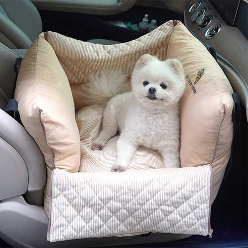 패리스독 꿀잠카시트(베이지)