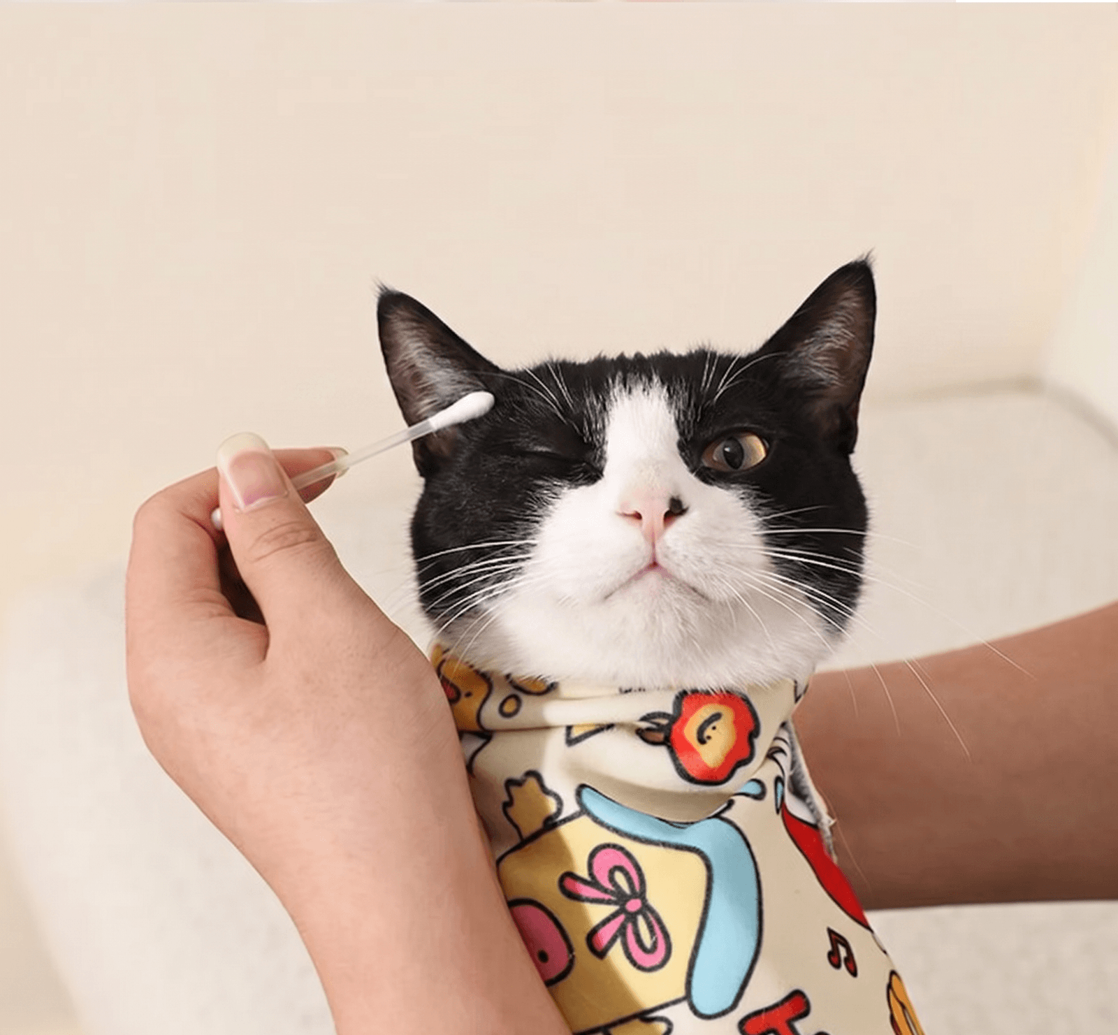 고양이 마법 포대기 할큄 방지, 약먹이기 (그루밍랩) 강아지 공용 썸네일 3
