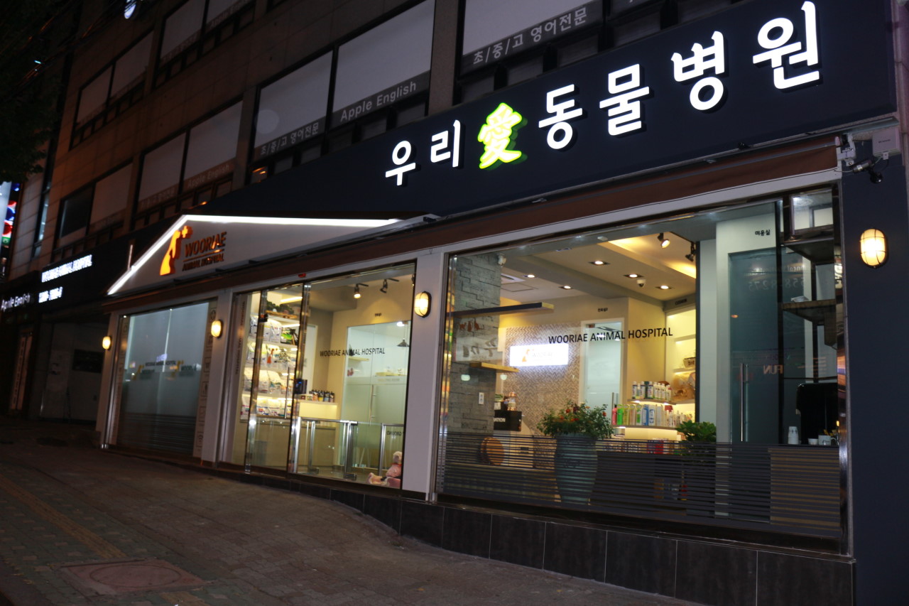 사랑우리애 동물병원 대표 사진